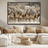 93076148-MGV-CV-36X24-Elk Herd Wall Art – Wildlife Canvas Print of Elk in Winter Landscape, Rustic Western Cabin & Lodge Décor, Nature Photography for