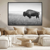 90861202-MGV-CV-36X24-Black and White Bison Canvas Wall Art – Rustic American Buffalo Print, Western Wildlife Photography for Farmhouse, Cabin, Office