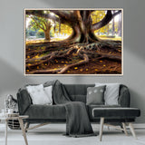 53335-MGV-CV-36X24-Majestic Tree with Sprawling Roots Wall Art – Serene Sunlit Park Scene, Nature Canvas Print, Perfect for Living Room, Office or