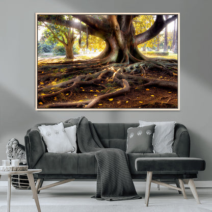 53335-MGV-CV-36X24-Majestic Tree with Sprawling Roots Wall Art – Serene Sunlit Park Scene, Nature Canvas Print, Perfect for Living Room, Office or