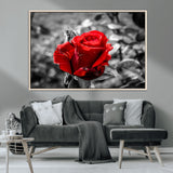 84671-MGV-CV-36X24-Red Rose Wall Art – Vibrant Single Bloom Canvas Print with Black and White Background, Elegant Floral Decor for Living Room,