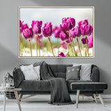 30632-MGV-CV-36X24-Purple Tulip Field Wall Art – Beautiful Spring Flowers Canvas Print with Soft Focus and Bright Sky, Ideal Floral Decor for Home or