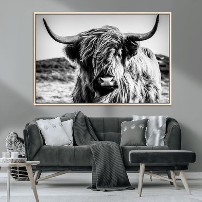 36979-MGV-CV-36X24-Striking black-and-white portrait of a Highland cow with flowing fur and majestic horns, perfect for rustic and elegant home or