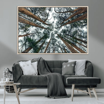 18790-MGV-CV-36X24-Pine Canopy Wall Art – Panoramic View of Towering Pines Canvas Print, Nature-Inspired Decor for Office, Cabin or Living Room