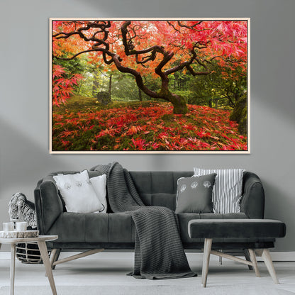 73343-MGV-CV-36X24-Autumn Maple Wall Art – Panoramic Vibrant Red Maple Tree Canvas Print, Seasonal Nature Decor for Office, Living Room or Garden
