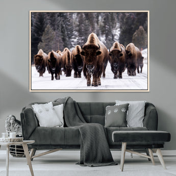 66871-MGV-CV-36X24-Bison Herd Wall Art – Wildlife Buffalo Canvas Print, Rustic Western Nature Photography Decor for Living Room, Office, Cabin, or