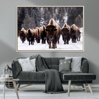 66871-MGV-CV-36X24-Bison Herd Wall Art – Wildlife Buffalo Canvas Print, Rustic Western Nature Photography Decor for Living Room, Office, Cabin, or