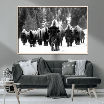 62434-MGV-CV-36X24-Bison Herd Wall Art – Majestic Black and White Buffalo Canvas Print, Wildlife Nature Photography Decor for Living Room, Office or