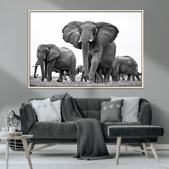 91685-MGV-CV-36X24-Elephant Herd Wall Art – Black and White Safari Canvas Print, African Wildlife Photography Decor for Living Room, Office or