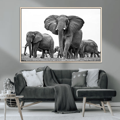 91685-MGV-CV-36X24-Elephant Herd Wall Art – Black and White Safari Canvas Print, African Wildlife Photography Decor for Living Room, Office or