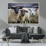 18418-MGV-CV-36X24-Sheep Wall Art Canvas Print, Framed Farmhouse Sheep Art Picture Print, Sheep Herd Perfect Rustic Farmhouse Decor Artwork