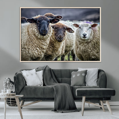 18418-MGV-CV-36X24-Sheep Wall Art Canvas Print, Framed Farmhouse Sheep Art Picture Print, Sheep Herd Perfect Rustic Farmhouse Decor Artwork