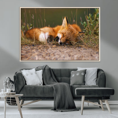 25085-MGV-CV-36X24-Sleeping Fox Wall Art Canvas Print, Framed Rustic Fox Art Picture Print, Wildlife Animal Perfect Rustic Farmhouse Decor Artwork