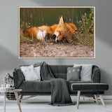 25085-MGV-CV-36X24-Sleeping Fox Wall Art Canvas Print, Framed Rustic Fox Art Picture Print, Wildlife Animal Perfect Rustic Farmhouse Decor Artwork