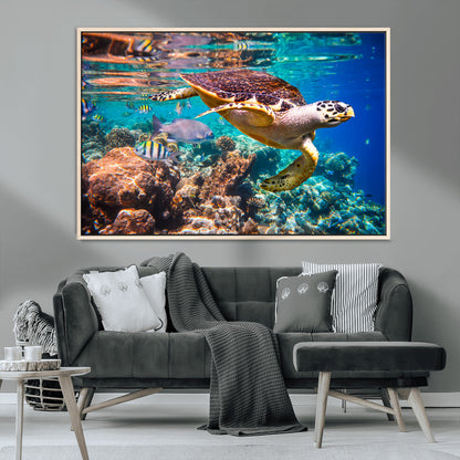 66614-MGV-CV-36X24-Sea Turtle Wall Art – Hawksbill Turtle Swimming Over Coral Reef Canvas Print, Ocean Marine Life Decor for Beach House, Coastal