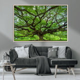 49375306-MGV-CV-36X24-Ancient Tree Wall Art Canvas Print, Framed Sprawling Branches Art Picture Print, Gnarling Tree Perfect Earthy Natural Decor