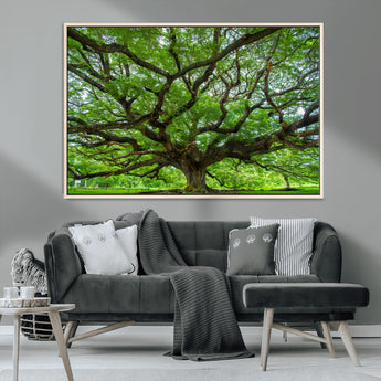 49375306-MGV-CV-36X24-Ancient Tree Wall Art Canvas Print, Framed Sprawling Branches Art Picture Print, Gnarling Tree Perfect Earthy Natural Decor