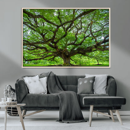 49375306-MGV-CV-36X24-Ancient Tree Wall Art Canvas Print, Framed Sprawling Branches Art Picture Print, Gnarling Tree Perfect Earthy Natural Decor