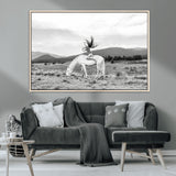 62789800-MGV-CV-36X24-White Horse Wall Art Canvas Print, Framed Woman Rider Art Picture Print, Equestrian Pose Perfect Western Boho Decor Artwork
