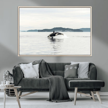10157174-MGV-CV-36X24-Orca Whale Wall Art Canvas Print, Framed Black White Whale Art Picture Print, Minimalist Ocean Perfect Coastal Minimalist Decor