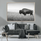 28435251-MGV-CV-36X24-Bison In Prairie Wall Art Canvas Print, Framed Rustic Wildlife Art Picture Print, Wild Buffalo Perfect Rustic Western Decor