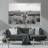 24051061-MGV-CV-36X24-Monochrome Highland Cow Wall Art Canvas Print, Framed Scottish Bull Art Picture Print, Lone Cattle Perfect Rustic Farmhouse Decor