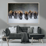 41669135-MGV-CV-36X24-Bison Herd Scene Wall Art Canvas Print, Framed Rustic Wildlife Decor Art Picture Print, Snowy Bison Landscape Perfect Rustic