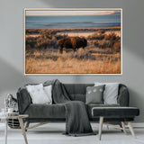 39509187-MGV-CV-36X24-Western Wildlife Wall Art Canvas Print, Framed Bison Art Picture Print, Golden Hour Perfect Western Rustic Decor Artwork