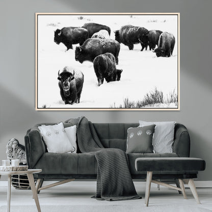 18914414-MGV-CV-36X24-Buffalo Herd Wall Art Canvas Print, Framed Black and White Art Picture Print, Snowy Landscape Perfect Rustic Lodge Decor Decor