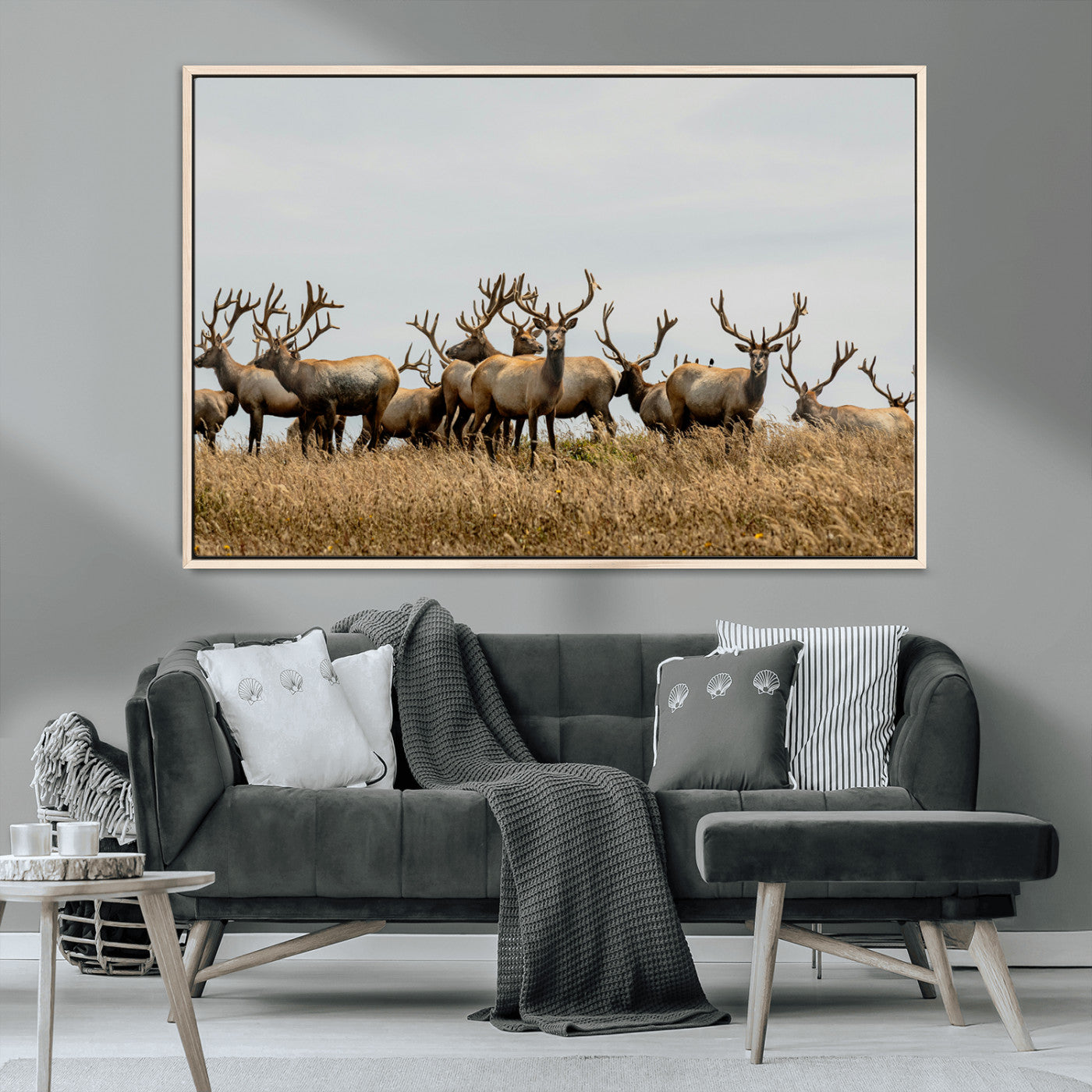 42170220-MGV-CV-36X24-Elk Herd Wall Art Canvas Print, Framed Wildlife Photography Art Picture Print, Majestic Antlers Perfect Rustic Wildlife Decor