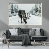 13316292-MGV-CV-36X24-Moose in Snow Wall Art Canvas Print, Framed Winter Wildlife Art Picture Print, Snowy Forest Scene Perfect Rustic Lodge Decor