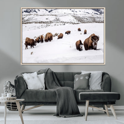 38217250-MGV-CV-36X24-Bison Herd Wall Art – Wildlife Canvas Print of Buffalo Winter Snow Scene, Rustic Western Lodge Décor, Farmhouse & Cabin Nature