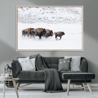 61161423-MGV-CV-36X24-Running Bison Herd Wall Art – Winter Buffalo Canvas Print, Wildlife Photography Decor for Rustic Living Room, Farmhouse, Lodge,