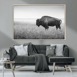 90861202-MGV-FC-36X24_Natural-Black and White Bison Canvas Wall Art – Rustic American Buffalo Print, Western Wildlife Photography for Farmhouse, Cabin, Office