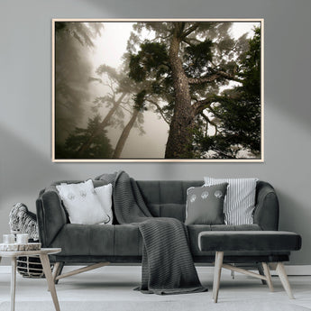 87969493-MGV-CV-36X24-Forest Wall Art – Misty Tall Trees Canvas Print, Dramatic Woodland Photography Decor for Bedroom, Living Room, Office, Cabin,
