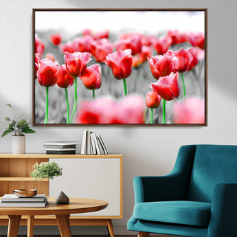 44554-MGV-CV-36X24-Vibrant red tulips stand out beautifully against a black-and-white background, making a striking decor piece perfect for any home