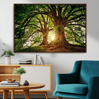 52150-MGV-FC-36X24_Walnut-Majestic Tree Wall Art – Large Nature Canvas Print with Sunlight Through Branches, Rustic Forest Decor for Living Room, Bedroom or