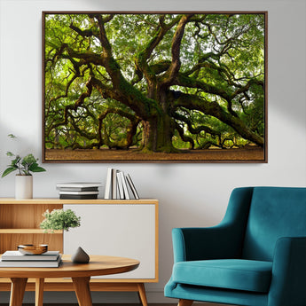 29407-MGV-CV-36X24-Ancient Oak Tree Wall Art – Majestic Nature Canvas Print, Large Tree Photography Decor for Living Room or Office