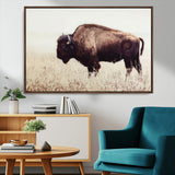 48406-MGV-FC-36X24_Walnut-American Bison Wall Art – Rustic Buffalo Canvas Print in Prairie Field, Western Wildlife Photography Decor for Cabin, Lodge,