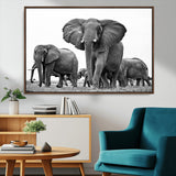 91685-MGV-CV-36X24-Elephant Herd Wall Art – Black and White Safari Canvas Print, African Wildlife Photography Decor for Living Room, Office or