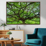 49375306-MGV-CV-36X24-Ancient Tree Wall Art Canvas Print, Framed Sprawling Branches Art Picture Print, Gnarling Tree Perfect Earthy Natural Decor