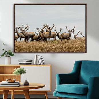 42170220-MGV-CV-36X24-Elk Herd Wall Art Canvas Print, Framed Wildlife Photography Art Picture Print, Majestic Antlers Perfect Rustic Wildlife Decor