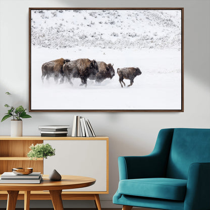 61161423-MGV-CV-36X24-Running Bison Herd Wall Art – Winter Buffalo Canvas Print, Wildlife Photography Decor for Rustic Living Room, Farmhouse, Lodge,