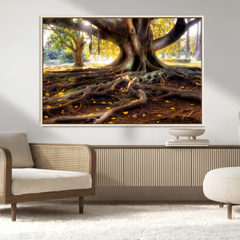 53335-MGV-CV-36X24-Majestic Tree with Sprawling Roots Wall Art – Serene Sunlit Park Scene, Nature Canvas Print, Perfect for Living Room, Office or
