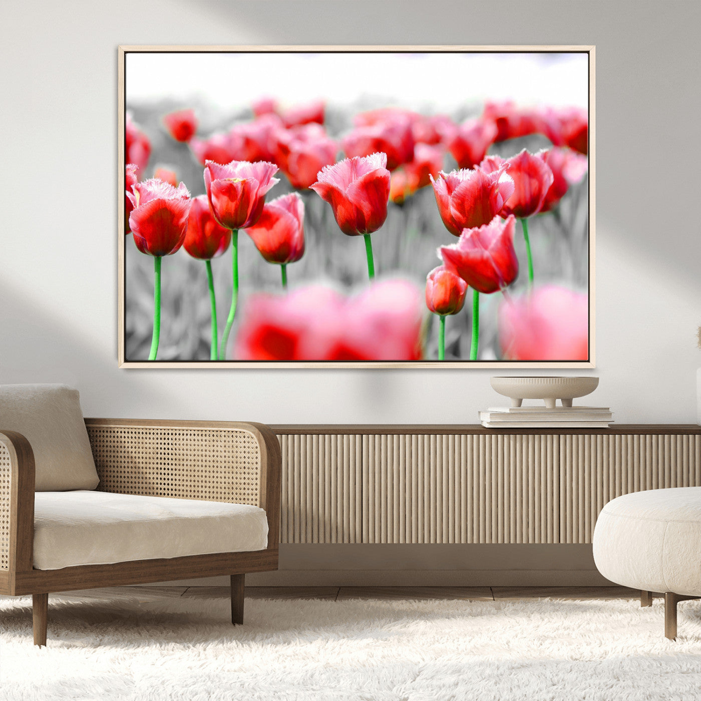 44554-MGV-CV-36X24-Vibrant red tulips stand out beautifully against a black-and-white background, making a striking decor piece perfect for any home