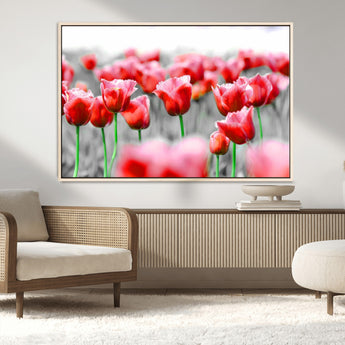 44554-MGV-CV-36X24-Vibrant red tulips stand out beautifully against a black-and-white background, making a striking decor piece perfect for any home