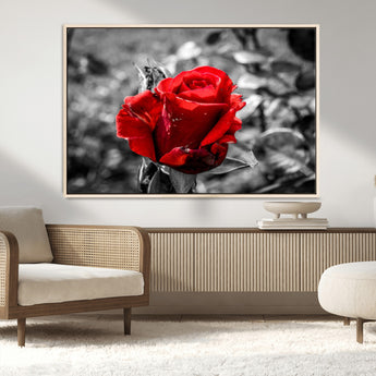84671-MGV-CV-36X24-Red Rose Wall Art – Vibrant Single Bloom Canvas Print with Black and White Background, Elegant Floral Decor for Living Room,