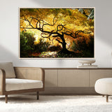 19067-MGV-CV-36X24-Golden Canopy Wall Art – Panoramic Autumn Tree Canvas Print, Warm Seasonal Decor for Living Room, Office or Garden Space