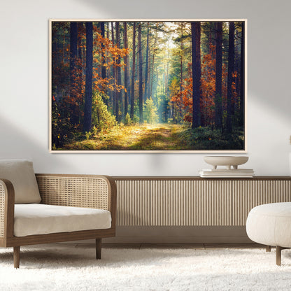 86249-MGV-CV-36X24-Sunlit Autumn Forest Path Wall Art – Peaceful Nature Scene with Fall Foliage, Calming Woods Decor for Home or Office