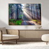 42047-MGV-CV-36X24-Sunlit Forest Path Wall Art – Nature Canvas Print, Serene Woodland Landscape, Perfect Home & Office Decor for Calm and Tranquil